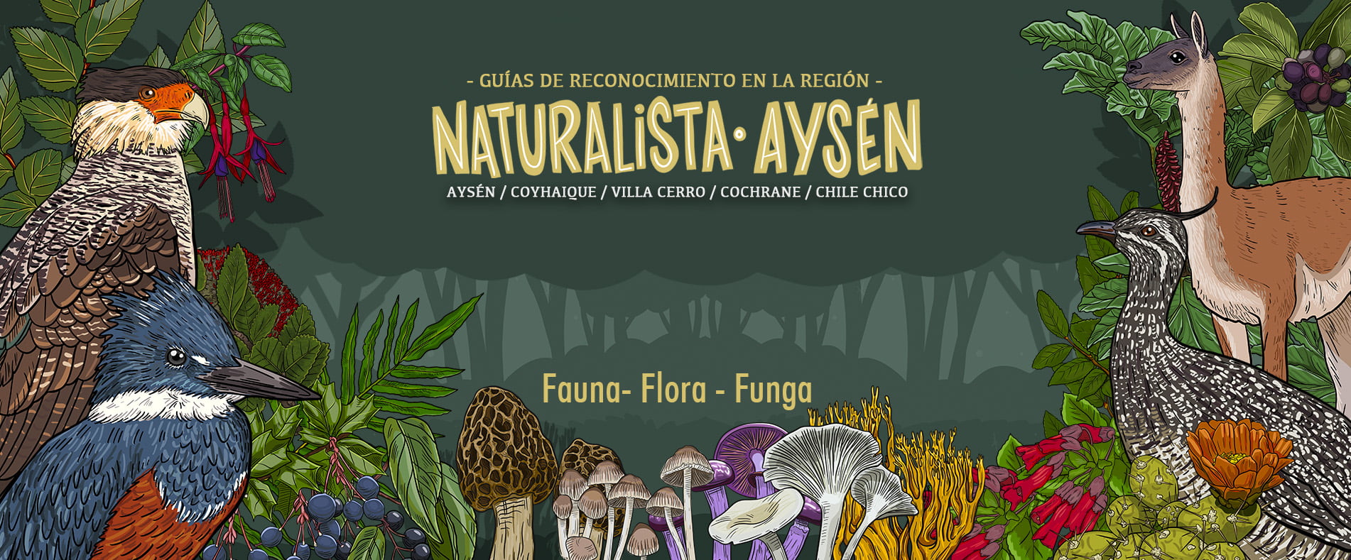 Logo Naturalistas Aysén